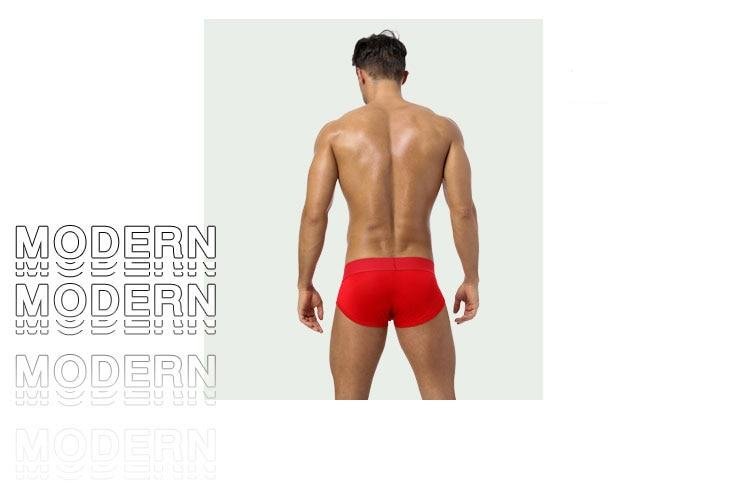 Men's Printed Briefs